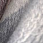 ramli ramlisese Profile Picture